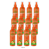 Cantu Avocado Hydrating Refresher Spray 12 fl oz (355 ml) (Pack of 12)
