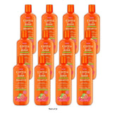 Cantu Anti-Dandruff Shampoo with Guava & Ginger 13.5 fl oz T (Pack of 12)