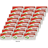 Gelusil Antacid Anti-Gas Tablets Peppermint Flavor 100 Each 5.6oz (Pack of 24)