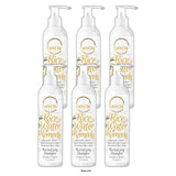 Curly Chic - Rice Water Remedy Revitalizing Shampoo 8 Fl. Oz (Pack of 6)