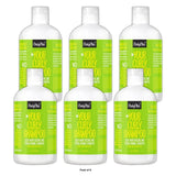 CurlyChic Your Curly Shampoo Net.Wt 12 fl.oz (Enriched with Ginger Extract) 12 Fl. Oz (Pack of 6)
