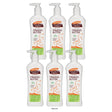 Palmer's Cocoa Butter Formula Firming Butter Lotion Pump Bottle - 10.6 10.6 Fl. Oz (Pack of 6)