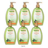 Organic Hair Energizer 5-In-1 Rejuvenating Conditioner 13oz 13 Oz (Pack of 6)
