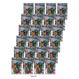 Donna Collection Kids Barrettes 18 Count nan (Pack of 24)