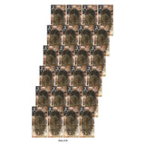 Titan Milit Brush Hrd Brstl Nat  1 Pound nan (Pack of 24)