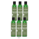 Taliah Waajid Stimulating Herbal Clarifying Shampoo with Mint  8 oz  1 Piece 8 Fl.  Oz (Pack of 6)