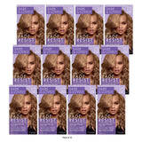 Dark and Lovely Fade Resist Permanent Hair Color - 378 Honey Blonde nan (Pack of 12)