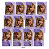Dark and Lovely Fade Resist Hair Color  Unisex  379 Golden Bronze nan (Pack of 12)