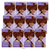 SoftSheen-Carson Dark & Lovely Fade Resist Hair Color  376 Red Hot Rythm nan (Pack of 12)