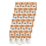 Clairol Permanent Liquicolor  8gn Light Gold Neutral Blonde  2 Fl Oz 2 Fl. Oz (Pack of 72)