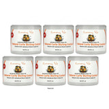 Sunny Isle Jamaican Black Castor Oil,  Natural Curly Styling Custard 8 Fl. Oz (Pack of 6)
