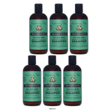 Sunny Isle Jamaican Black Castor Oil Tea Tree Mint Shampoo 354ml Hydration & De 12 Oz (Pack of 6)