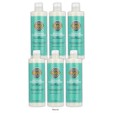 Curldaze Kukui Oil & Agave Silky Hydration Detangling Conditioner – 12 Fl. Oz (Pack of 6)