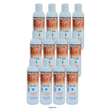 Hair & Scalp Revitalizing Conditioner by Netwurks – 8 Fl. Oz (Pack of 12)