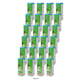 Lemisol Feminine Wash Plus Gentle Daily Cleanser 16 fl oz (Pack of 24)