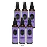 Hask Biotin Boost 5-in-1 Leave-in Spray 6 Oz (Pack of 6)