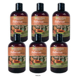 Sarandipity Naturals Sarandipity Naturals Shampoo 12 oz (Pack of 6)