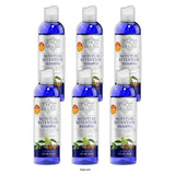 Le Host Moisture Retention Shampoo Nourishes Strengthens & Adds Flexibility 8 Oz (Pack of 6)