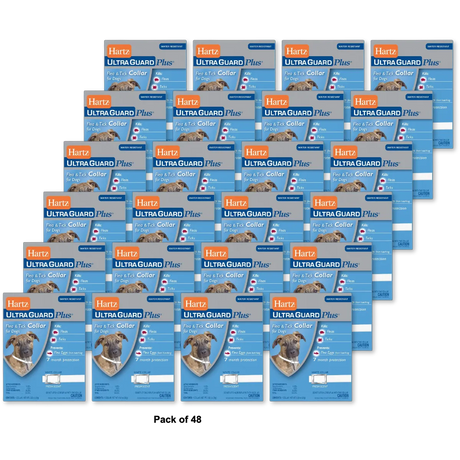 Hartz UltraGuard Plus Flea And Tick Collar For Dogs 0.92Oz (Pack of 48)
