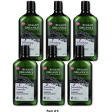 Avalon Organics Lavender Nourishing Hair Shampoo 11Oz (Pack of 6)
