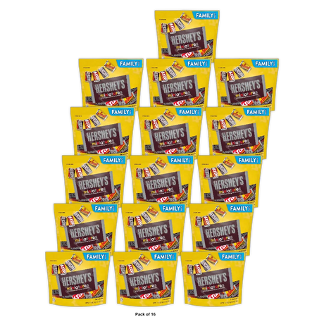 Hersheys Miniatures Assorted Milk And Dark Chocolate Candy Bars 17.6Oz (Pack of 16)