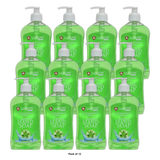 Luxury Antibacterial Liquid Hand Soap Aloe Vera 16.9 oz (Pack of 12)