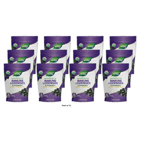 Naturesway Sambucus Organic Zinc Vitamin- C Lozenges24 Ea 3.68oz (Pack of 12)