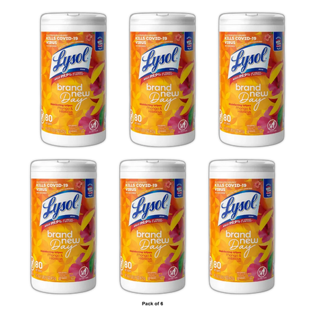 Lysol Disinfectant Antibacterial Cleaning Wipes 16.7oz (Pack of 6)