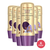 Pantene Gold Series Miracle Hair De-tangler with Argan Oil 8 Fl Oz (Pack of 6)