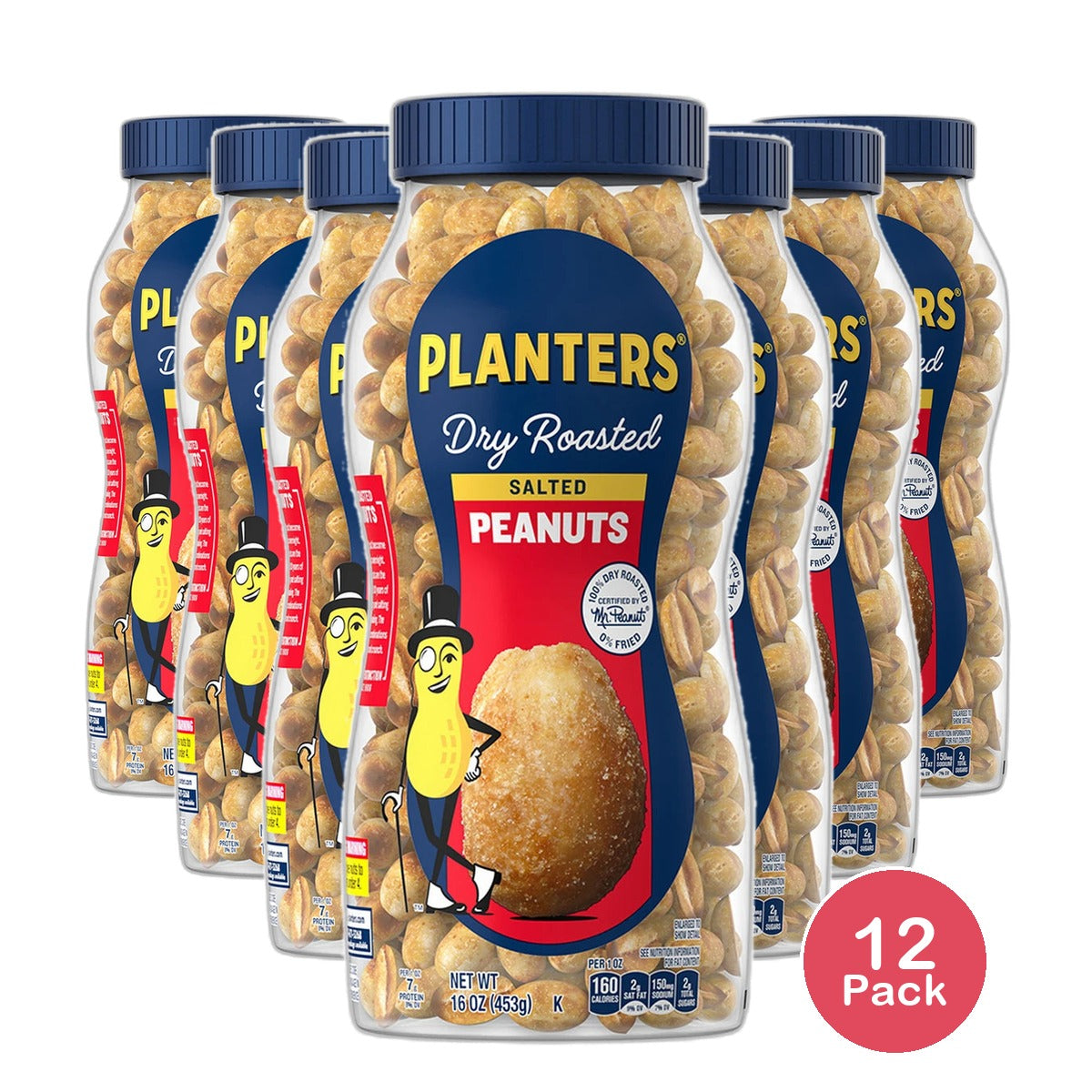 Planters Salted Dry Roasted Peanuts Party Snacks 16Oz (Pack of 12)