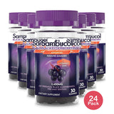Sambucol Black Elderberry Immune Support Vegan Gummies with Vitamin C and Zinc - 30ct 4Oz (Pack of 24)