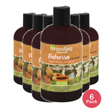 Sarandipity Naturals Sarandipity Naturals Conditioner 12 oz (Pack of 6)