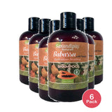Sarandipity Naturals Sarandipity Naturals Shampoo 12 oz (Pack of 6)