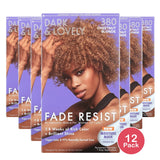 SoftSheen-Carson Dark & Lovely Fade Resist Unisex Permanent Hair Color  380 Ches nan (Pack of 12)