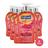 Softsoap Energized Liquid Hand Soap 11.25 Oz (Pack of 6)