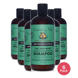 Sunny Isle Jamaican Black Castor Oil Tea Tree Mint Shampoo 354ml Hydration & De 12 Oz (Pack of 6)