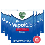 Vicks Vaporub Ointment 100 Gm 3.53Oz (Pack of 24)