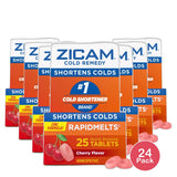 Zicam Cold Remedy Homeopathic Rapid Melts Cherry Flavor25 Ea 1.5oz (Pack of 24)
